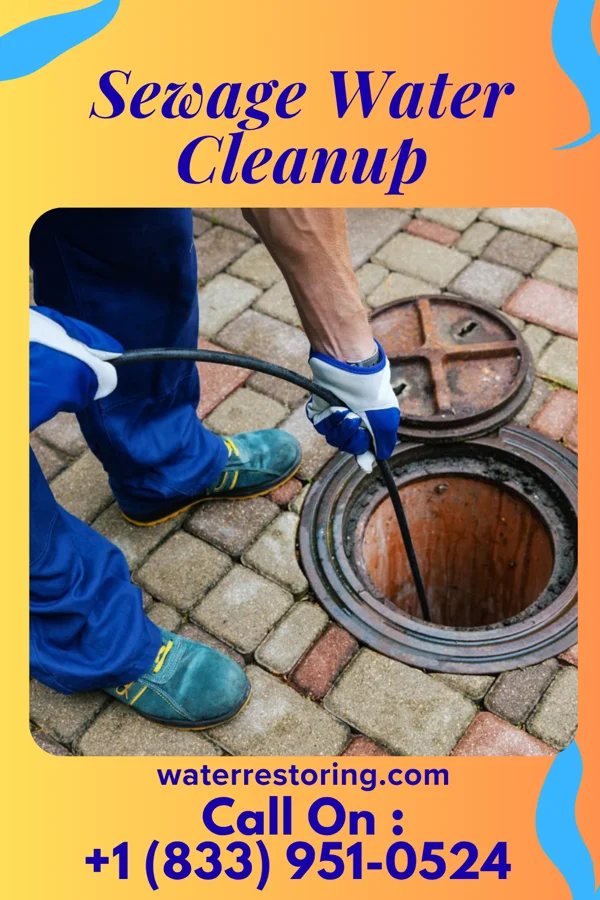 Sewage Water Cleanup in Summit, IL
