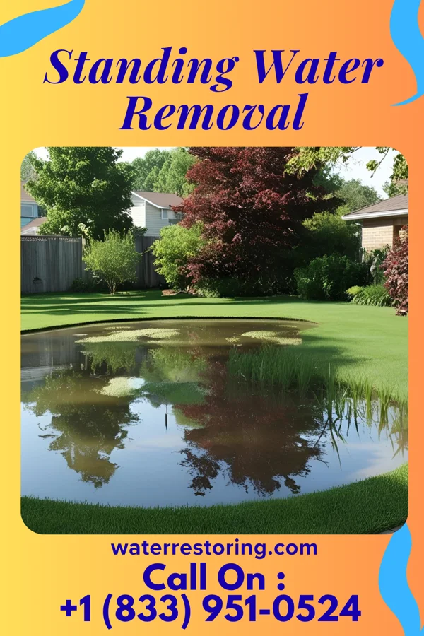 Standing Water Removal in Summit, IL